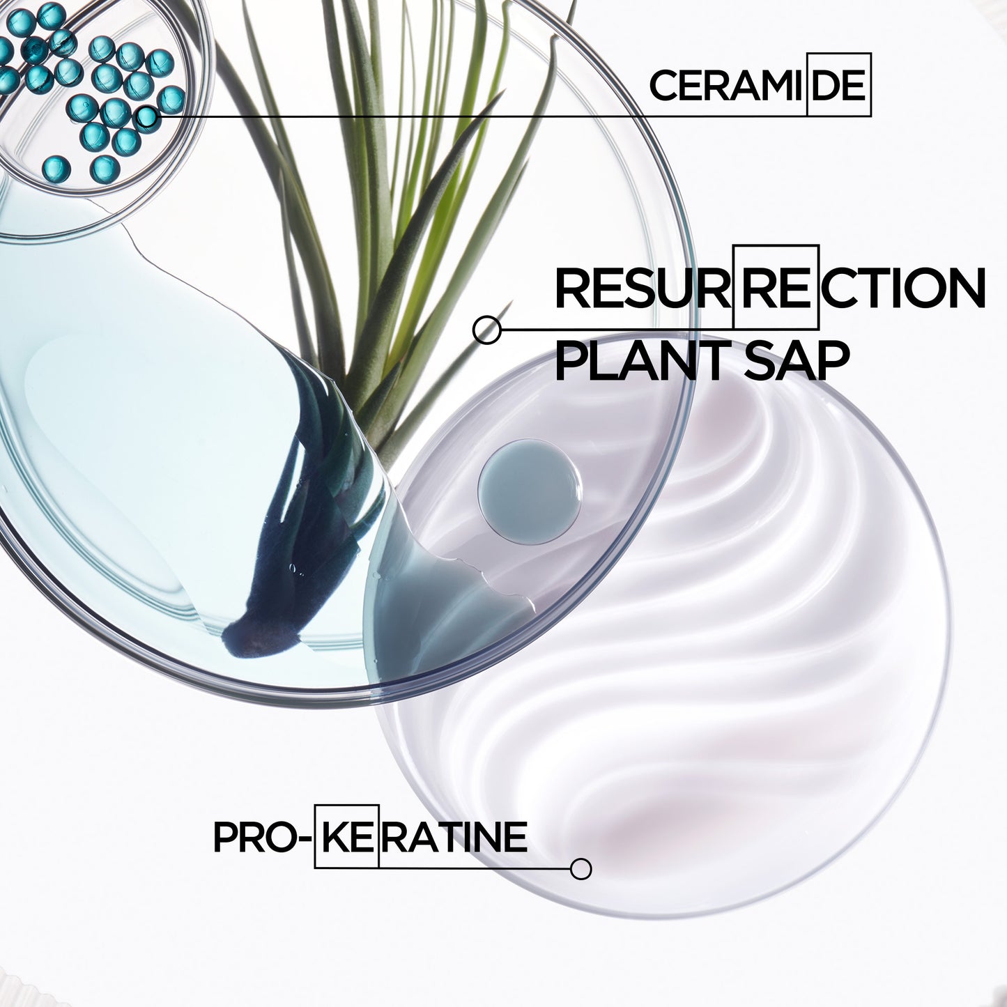 Resistance Ciment Anti Usure Conditioner 200ml
